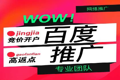 竞价排名案例：跨平台推广效果分析